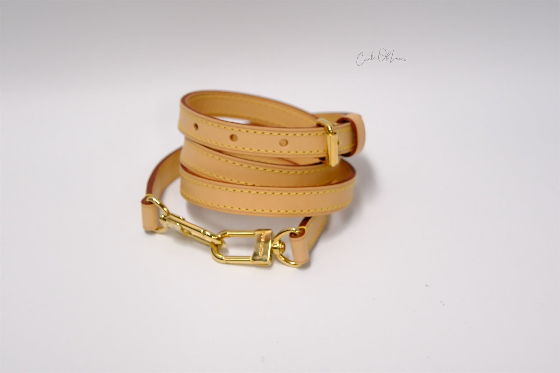 LOUIS VUITTON RIVOLI MM MOMOGRAM