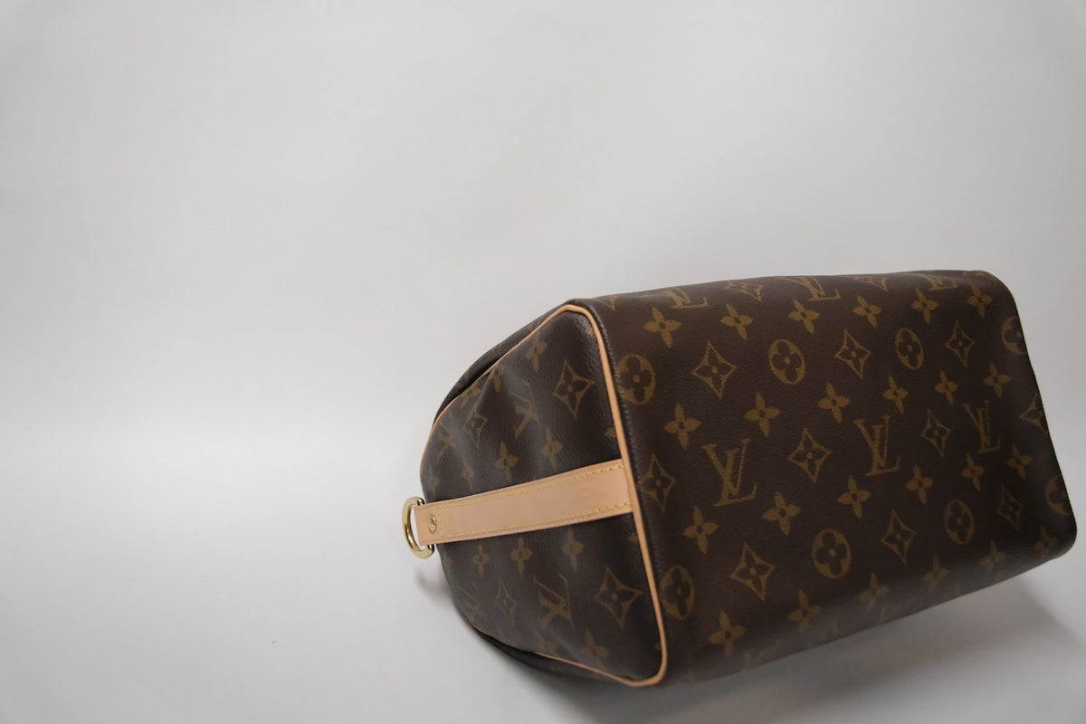 LOUIS VUITTON SPEEDY 25 MONOGRAM