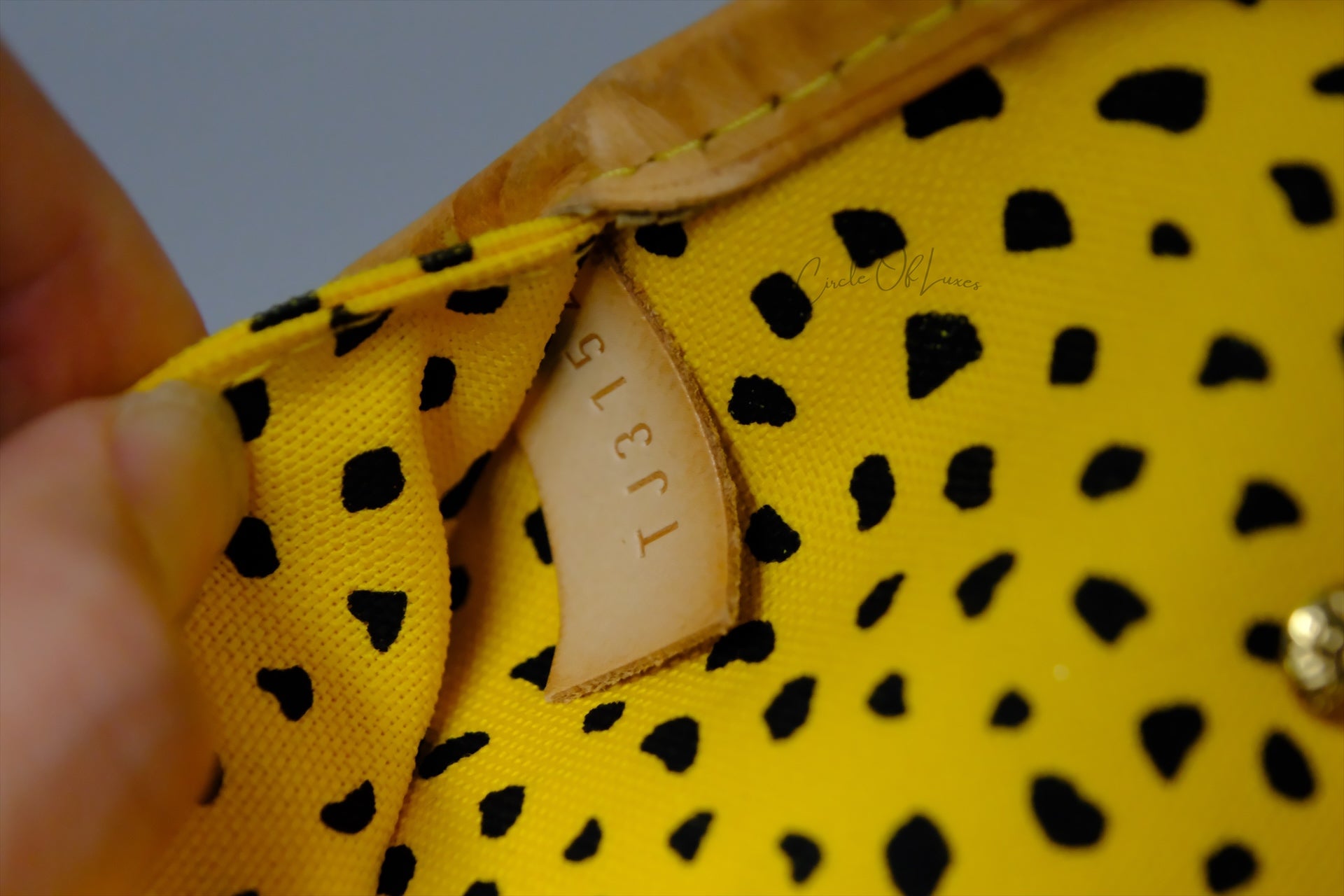 LOUIS VUITTON  NEVERFULL MM YAJOI KUSAMA LIMITED EDITION