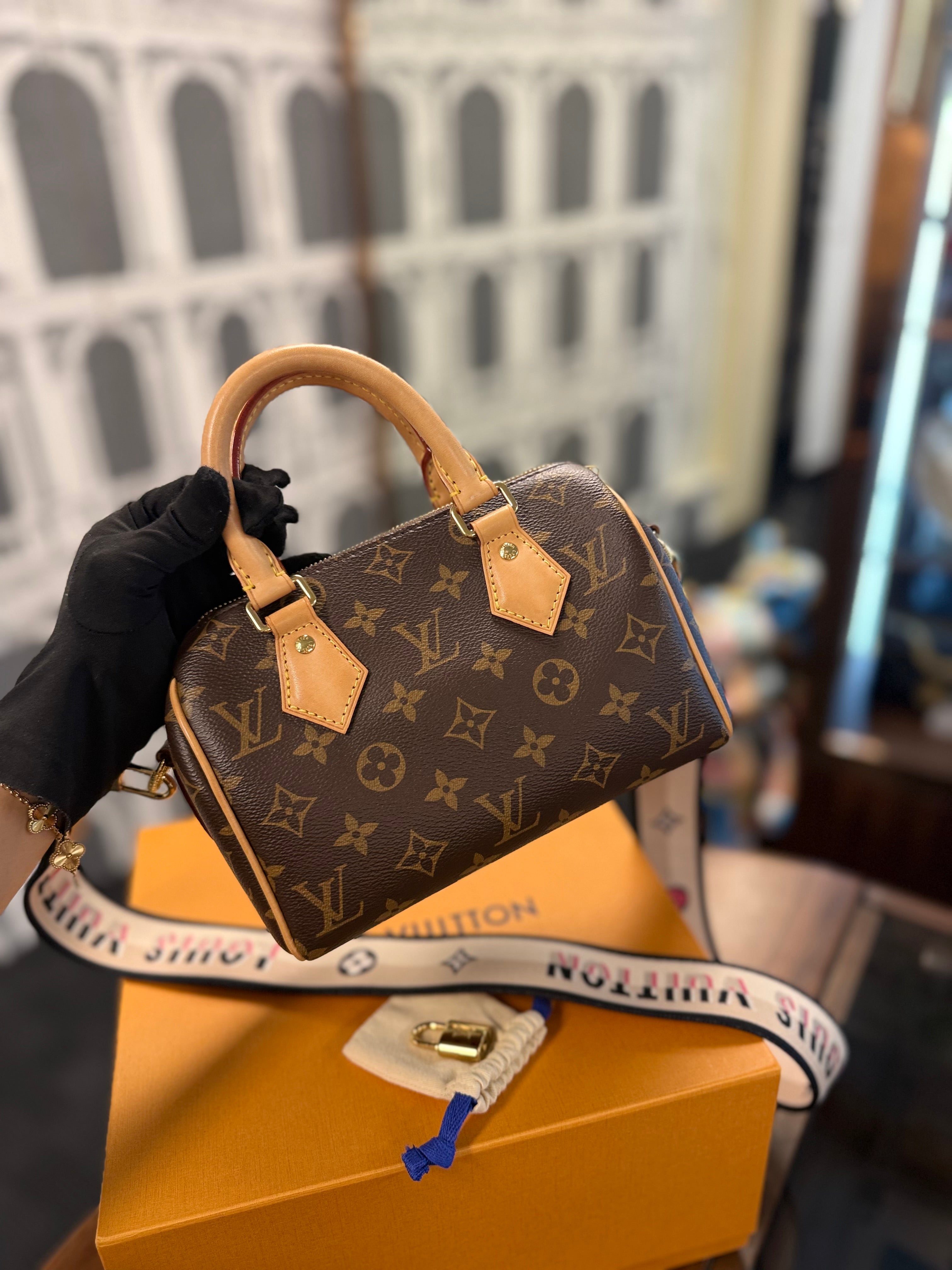 LOUIS VUITTON SPEEDY 20 MONOGRAM CANVAS