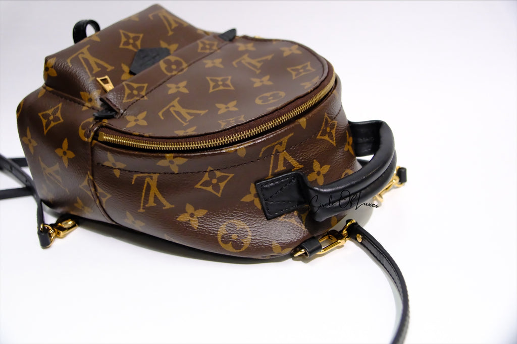 LOUIS VUITTON MINI BACK PACK PALMSPRING MONOGRAM