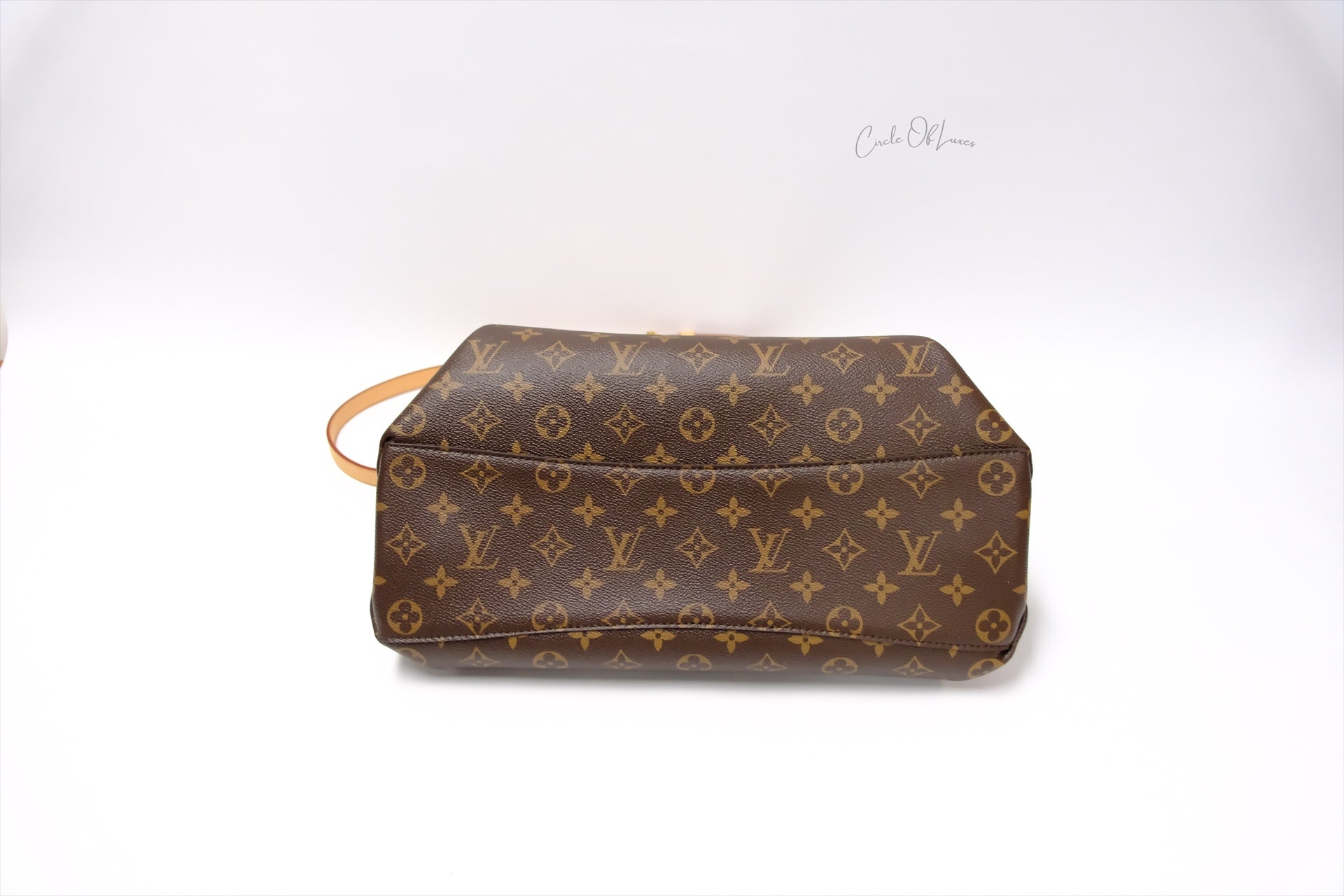 LOUIS VUITTON RIVOLI MM MOMOGRAM