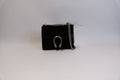 GUCCI Dionysus Mini Chain Bag  Black suede