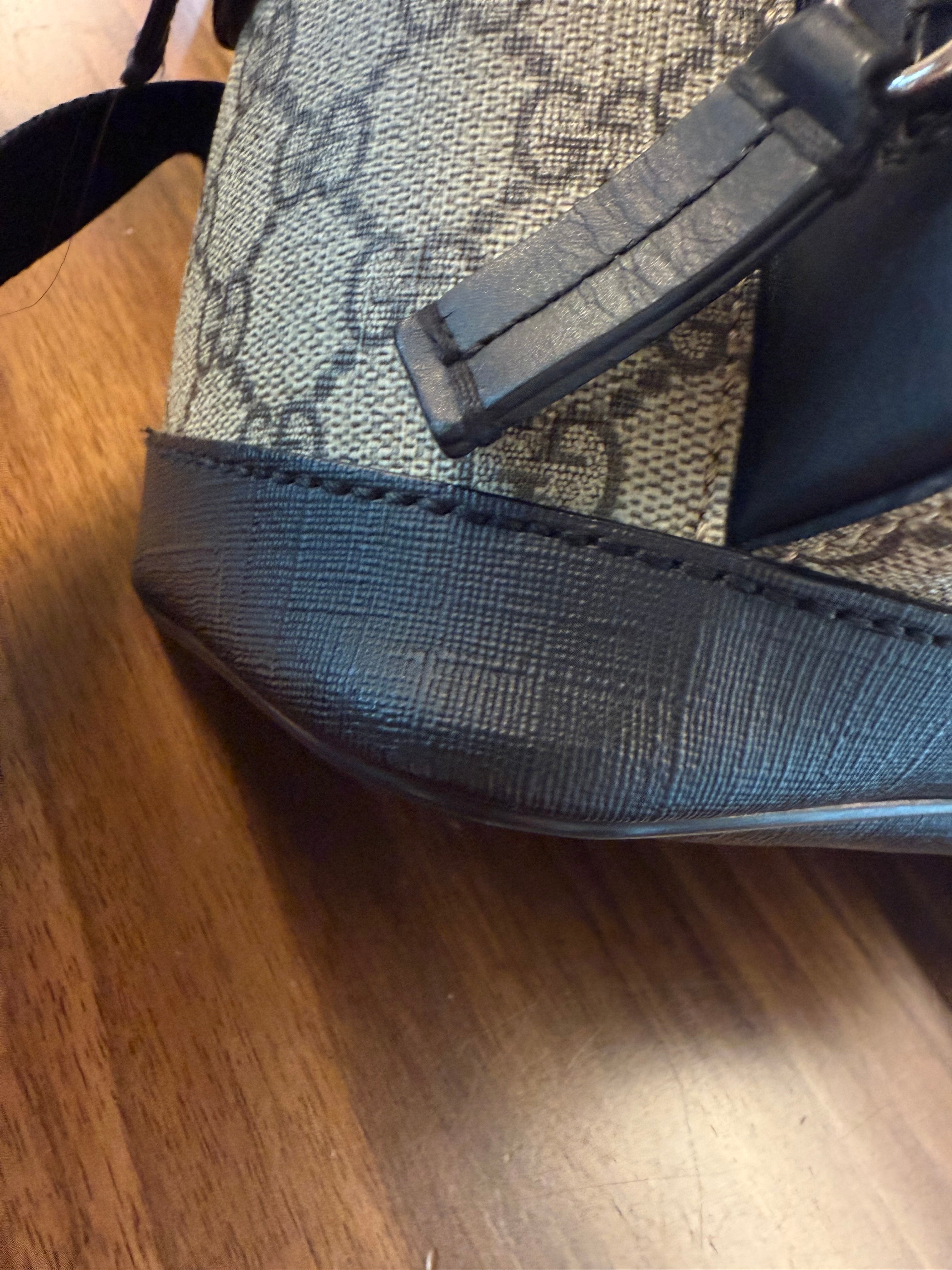 GUCCI SMALL EDEN BACKPACK SUPREME CANVAS