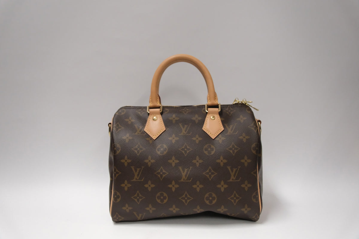 LOUIS VUITTON SPEEDY 25 MONOGRAM