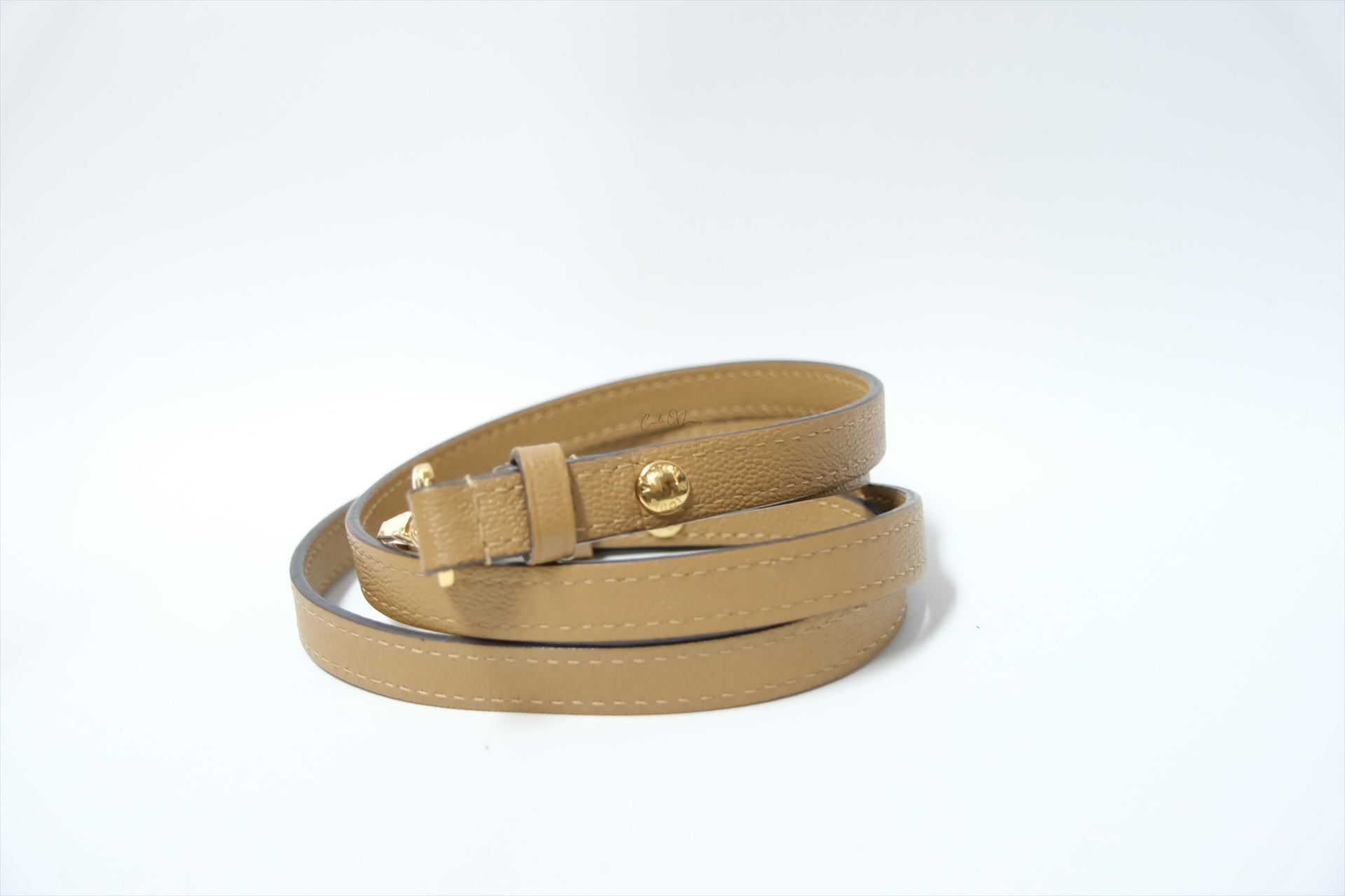 LOUIS VUITTON TWIST MM CAMEL/BACK GHW