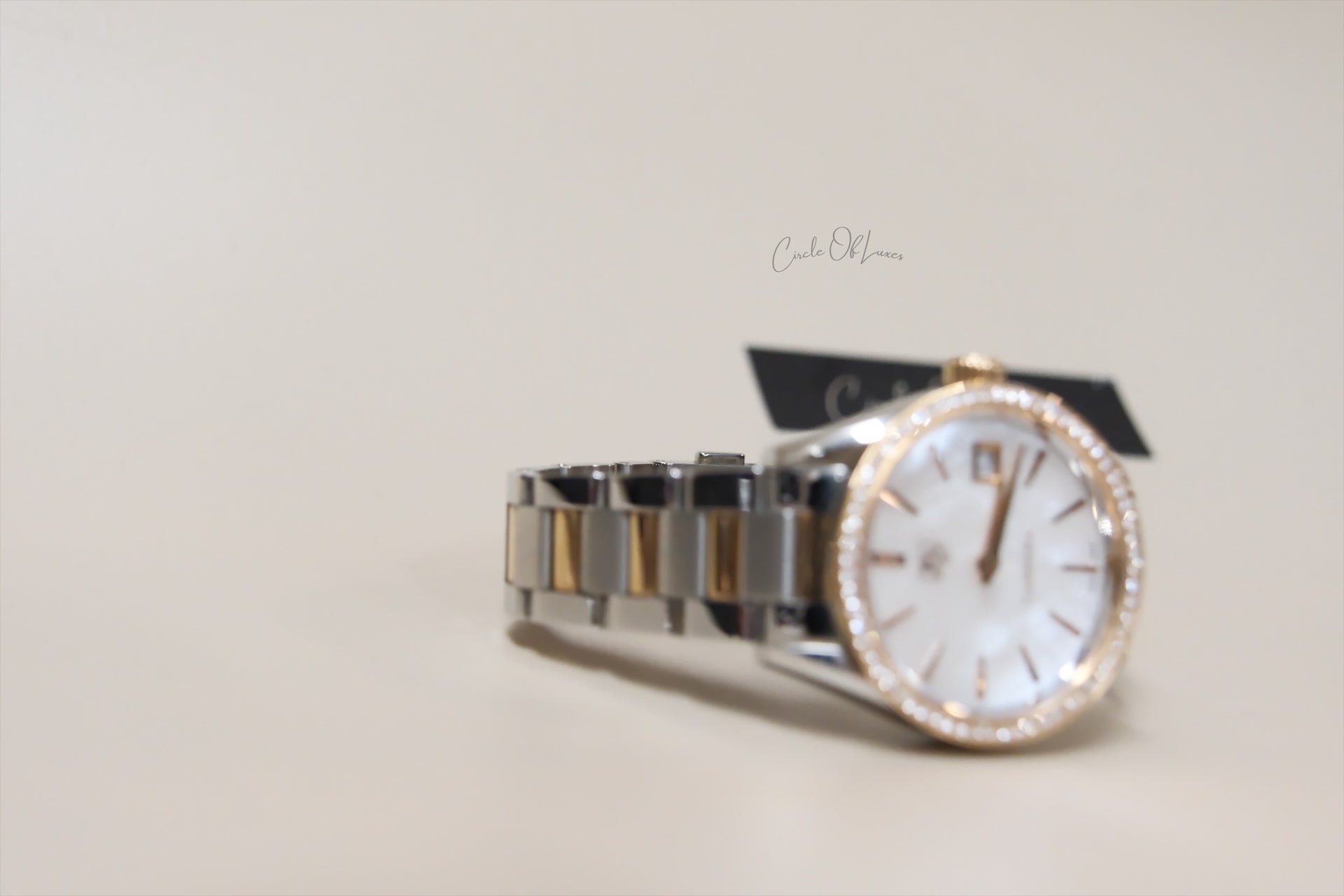 TAGHEUER 32mm CARRERA TWO TONE DIAMONDS BEZELS MOP
