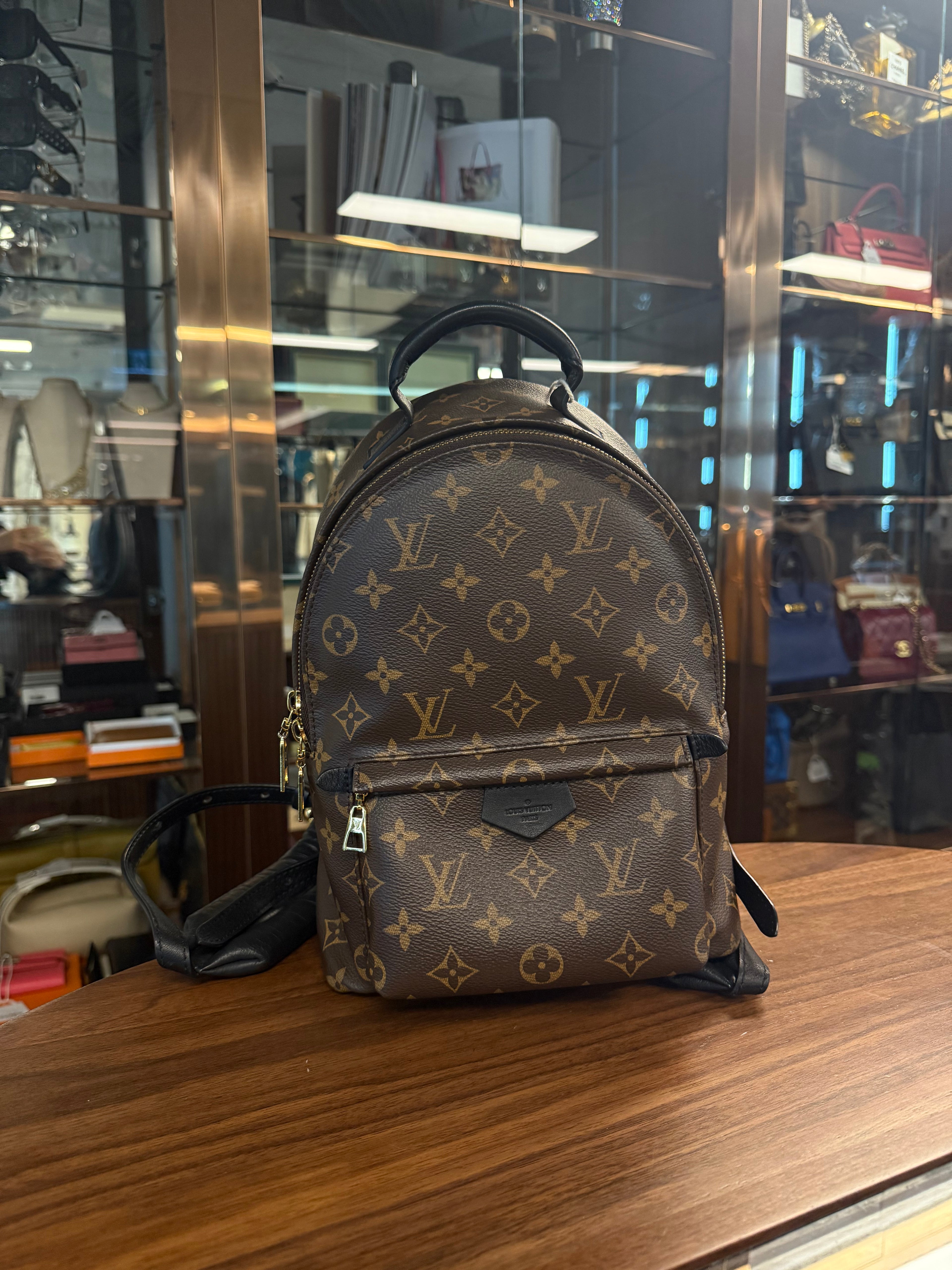 LOUIS VUITTON BACKPACK PM MONOGRAM