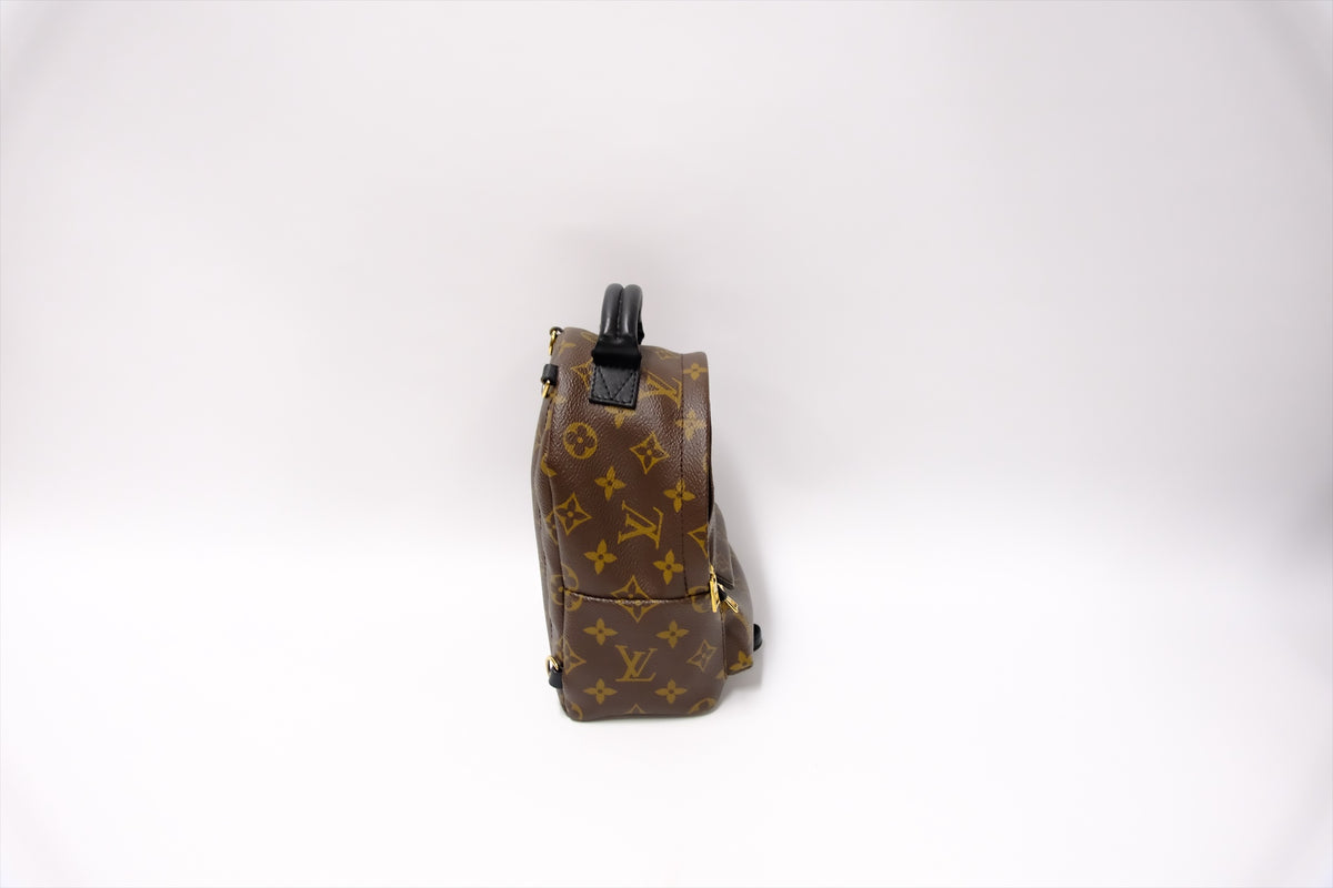 LOUIS VUITTON MINI PALMSPRING BACKPACK MONOGRAM