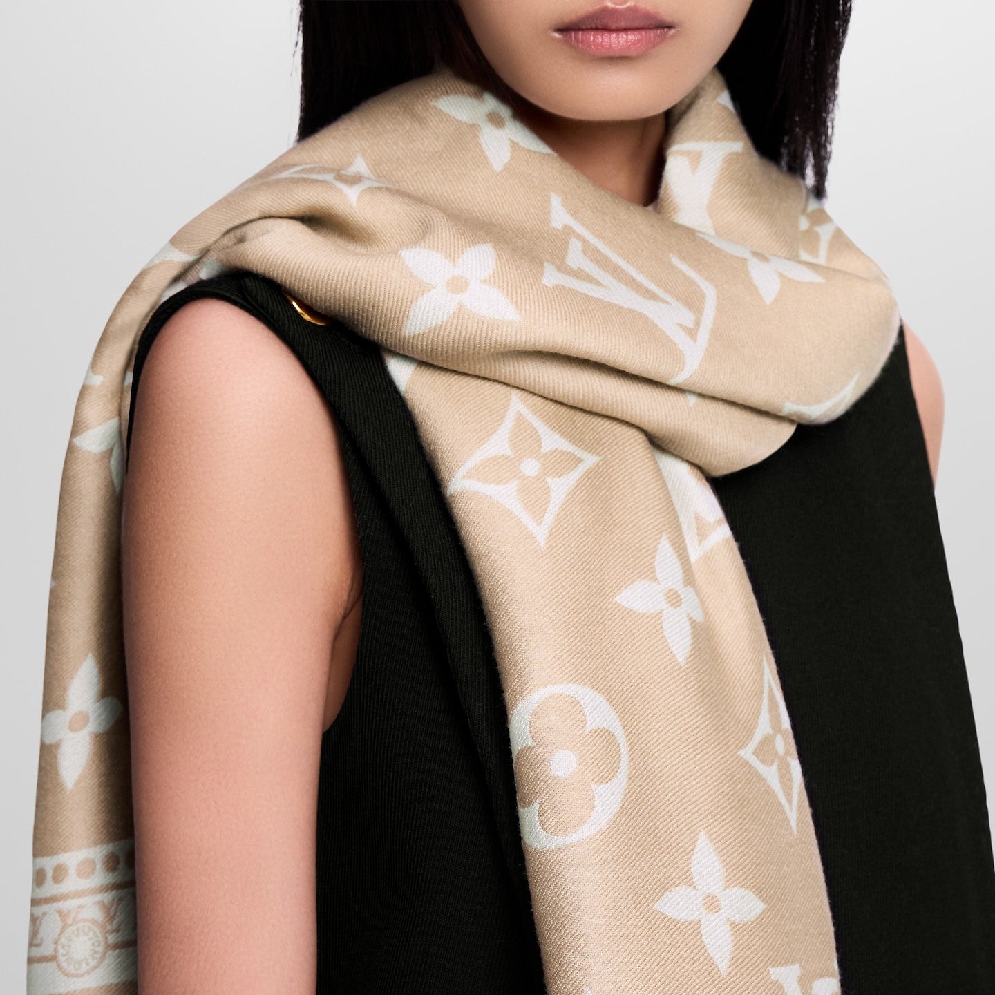 LOUIS VUITTON ETOILE AMAZING SCARF/STOLE