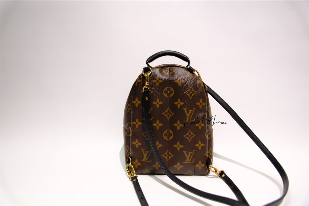 LOUIS VUITTON MINI BACK PACK PALMSPRING MONOGRAM