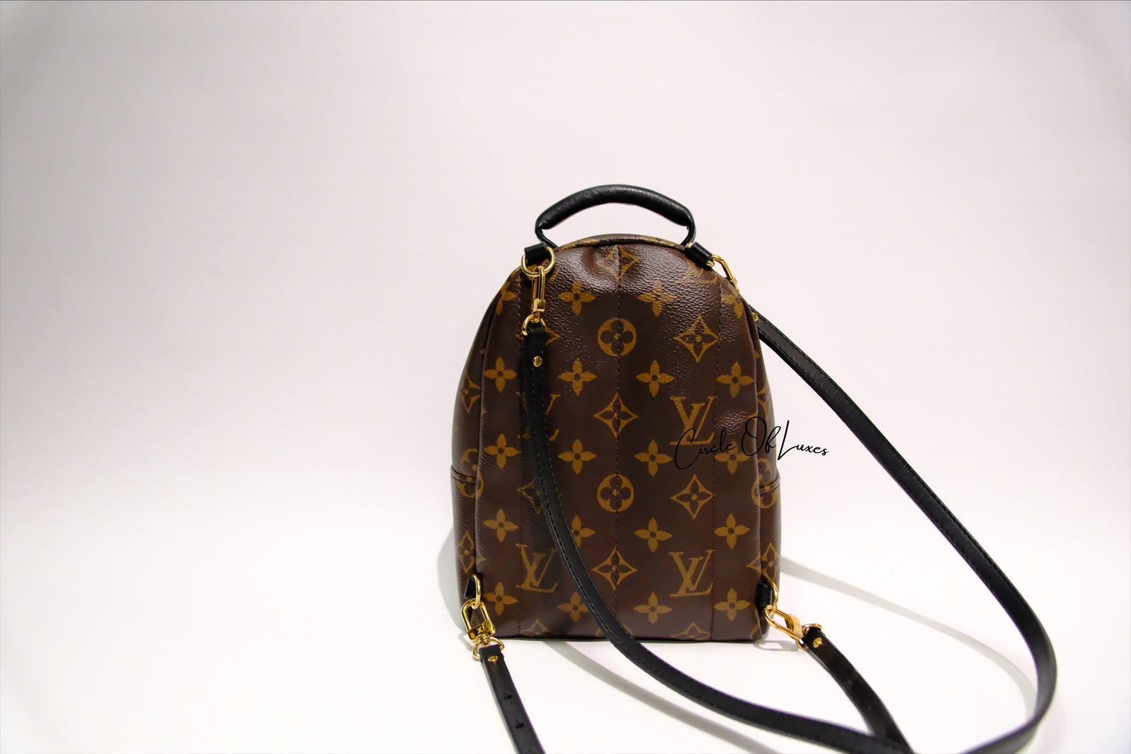 LOUIS VUITTON MINI BACK PACK PALMSPRING MONOGRAM