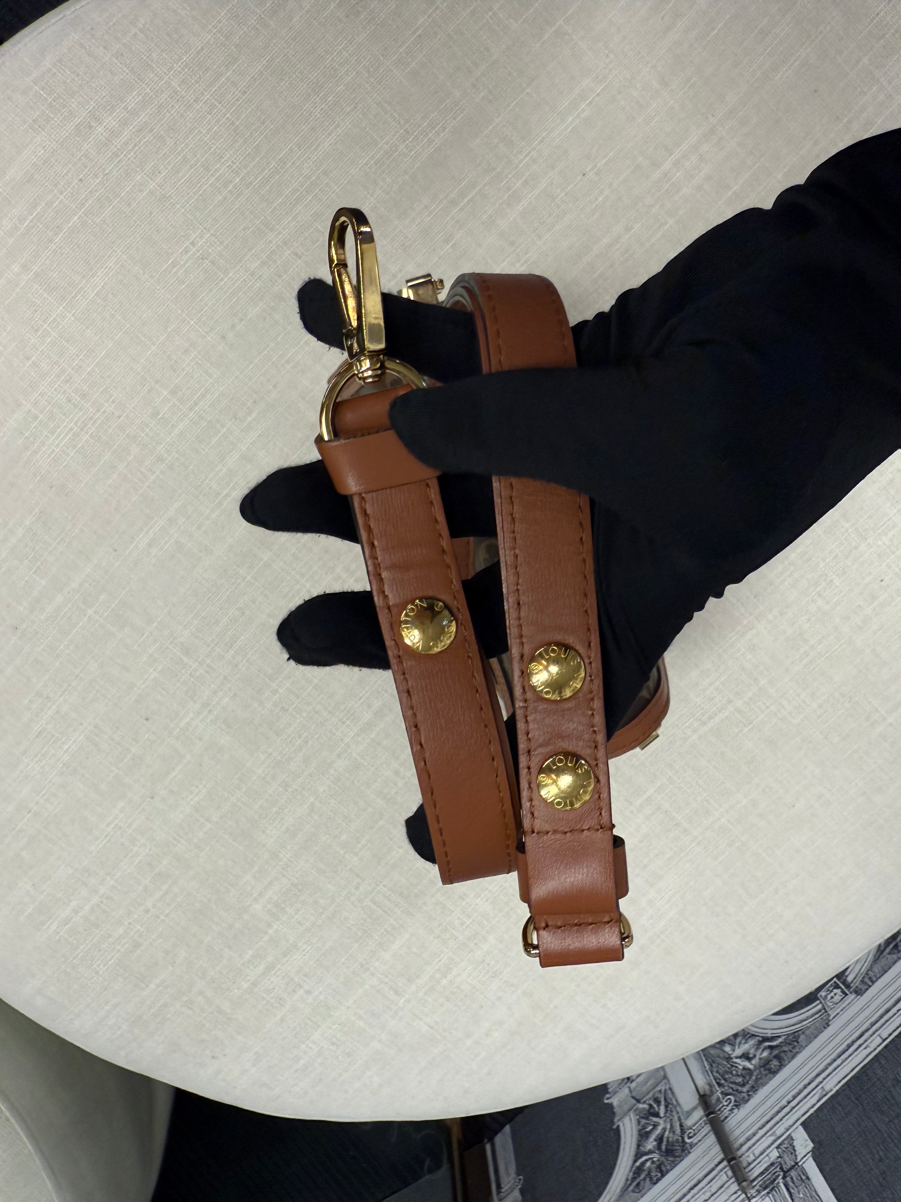 LOUIS VUITTON MINI DAUPHINE MONOGRAM REVERSE