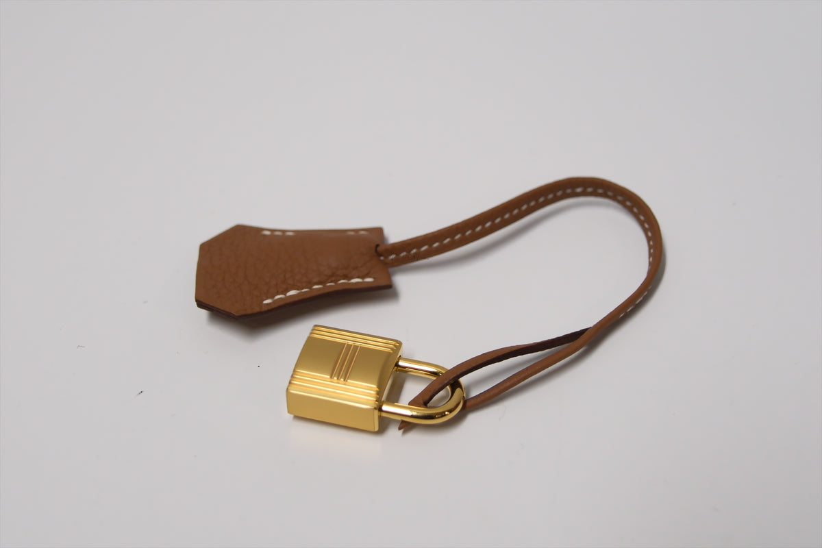 HERMES BIRKIN 25 GOLD ON GOLD TOGO