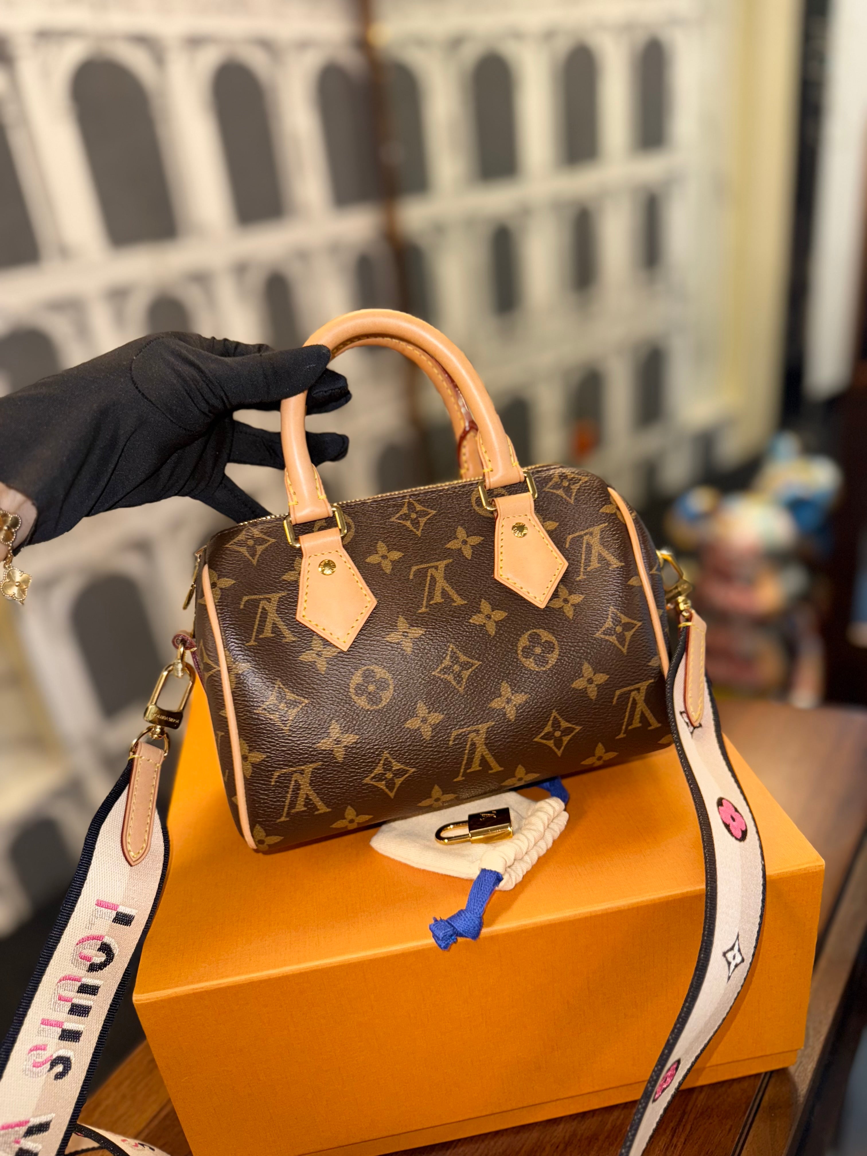 LOUIS VUITTON SPEEDY 20 MONOGRAM CANVAS
