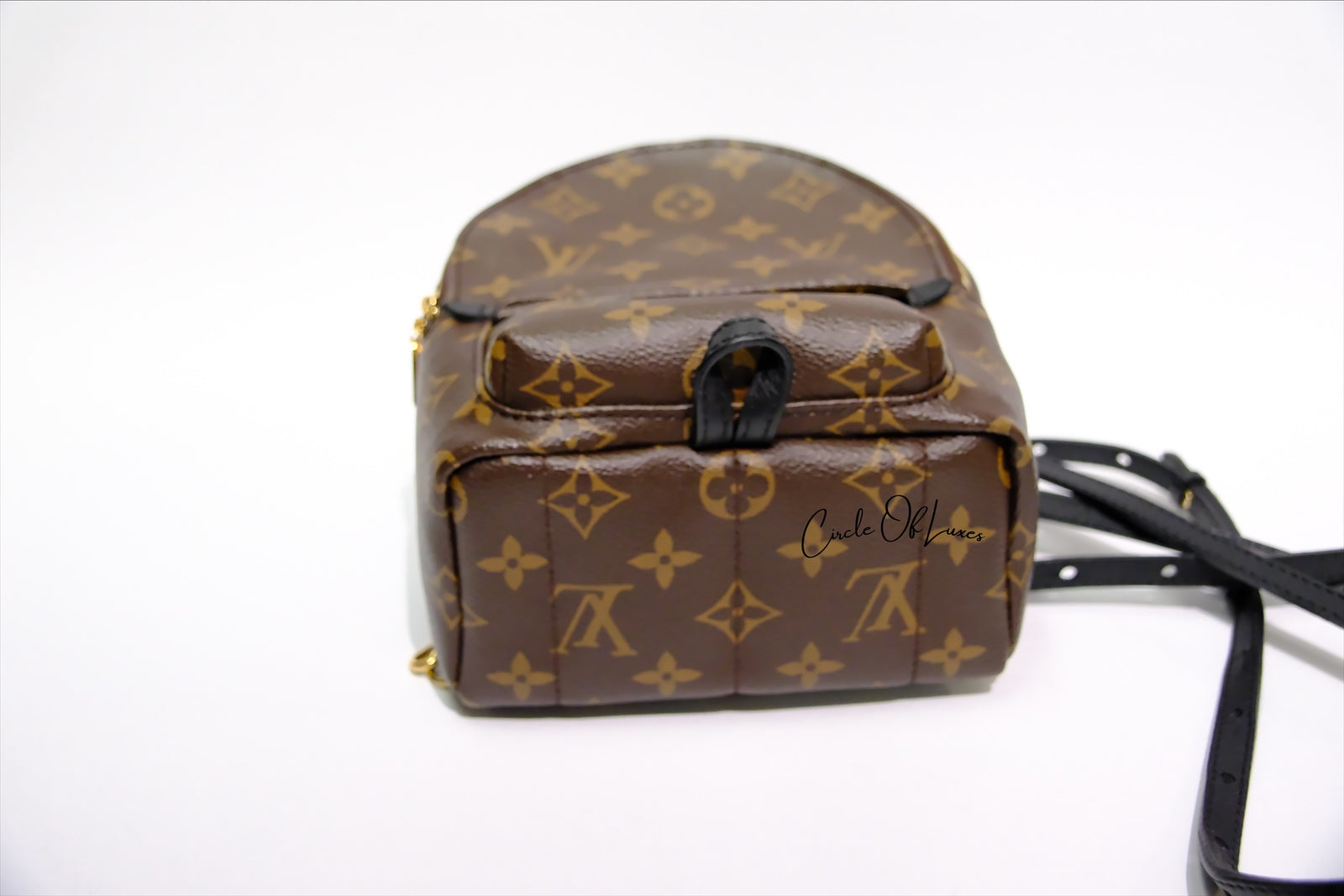 LOUIS VUITTON MINI BACK PACK PALMSPRING MONOGRAM