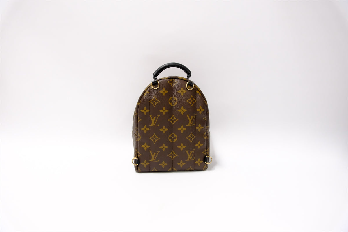 LOUIS VUITTON MINI PALMSPRING BACKPACK MONOGRAM