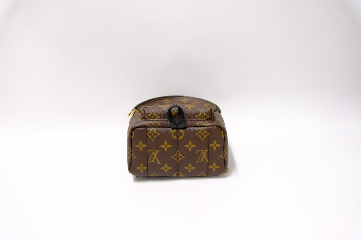 LOUIS VUITTON MINI PALMSPRING BACKPACK MONOGRAM