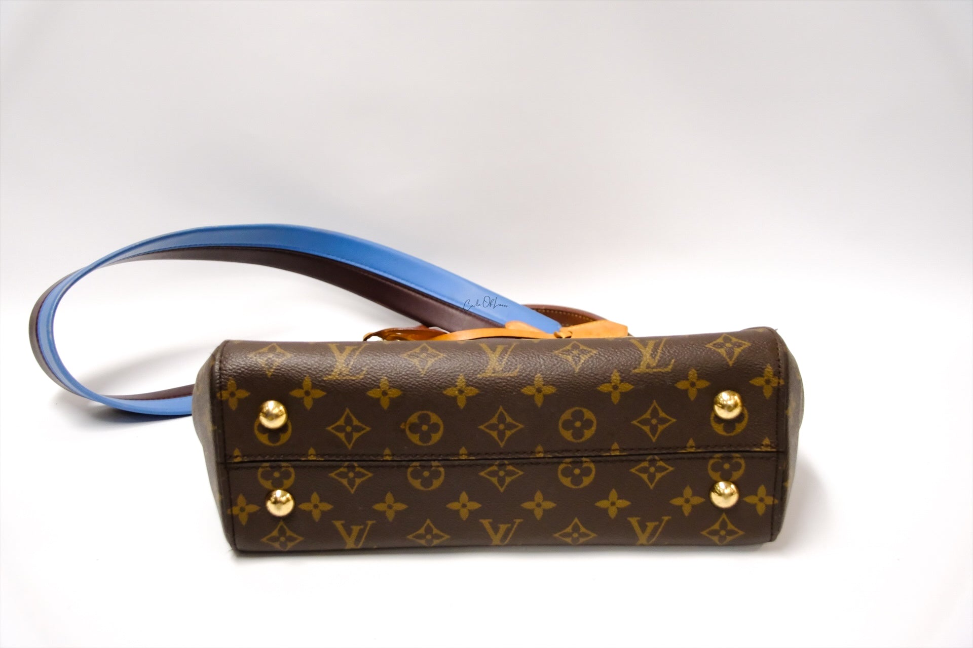 LOUIS VUITTON CLUNNY MONOGRAM MM