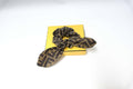 FENDI MOTIF SILK SCRUNCHIE