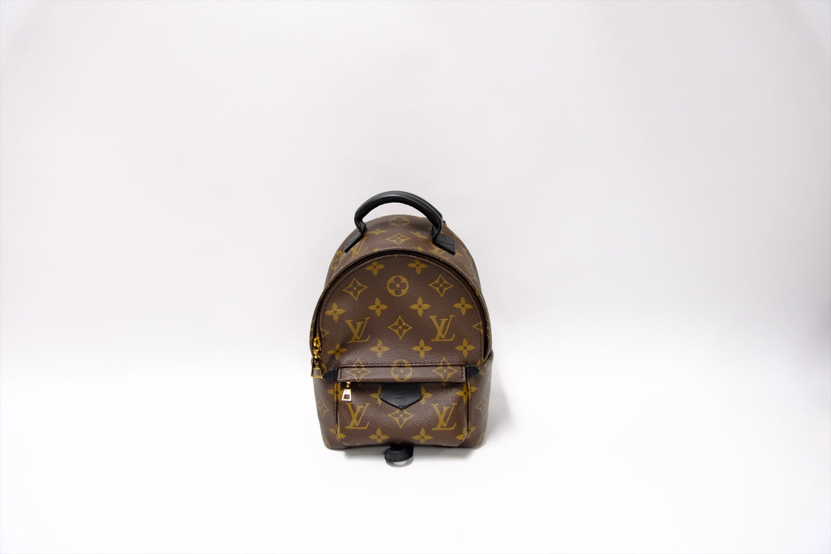 LOUIS VUITTON MINI PALMSPRING BACKPACK MONOGRAM