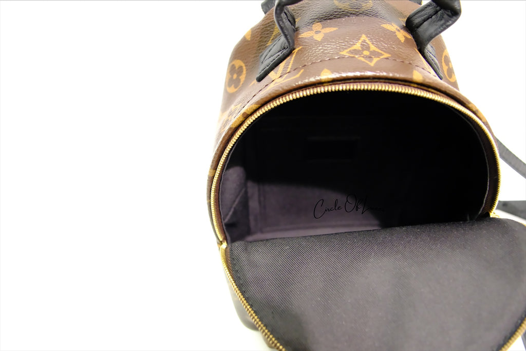 LOUIS VUITTON MINI BACK PACK PALMSPRING MONOGRAM