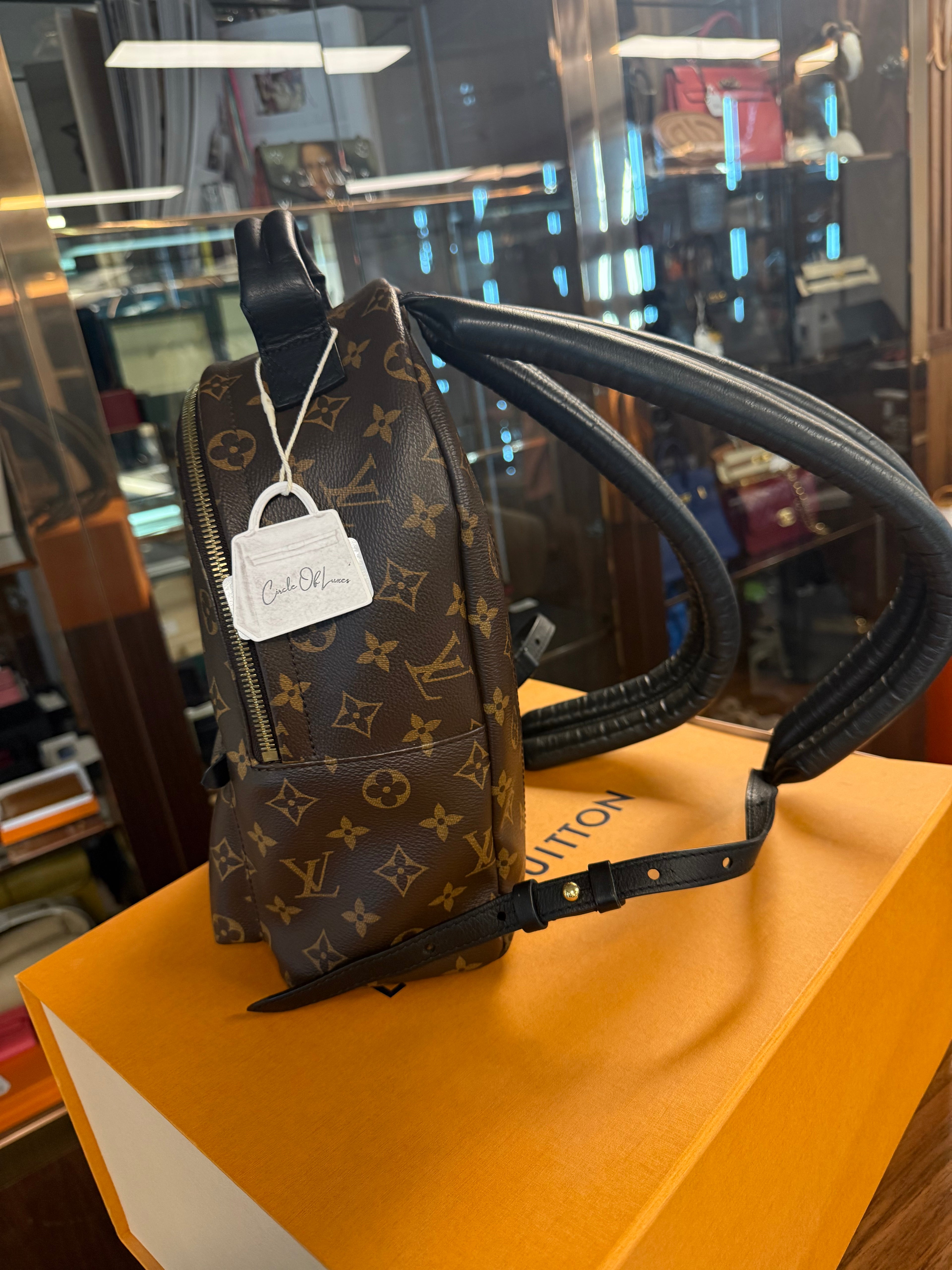 LOUIS VUITTON BACKPACK PM MONOGRAM