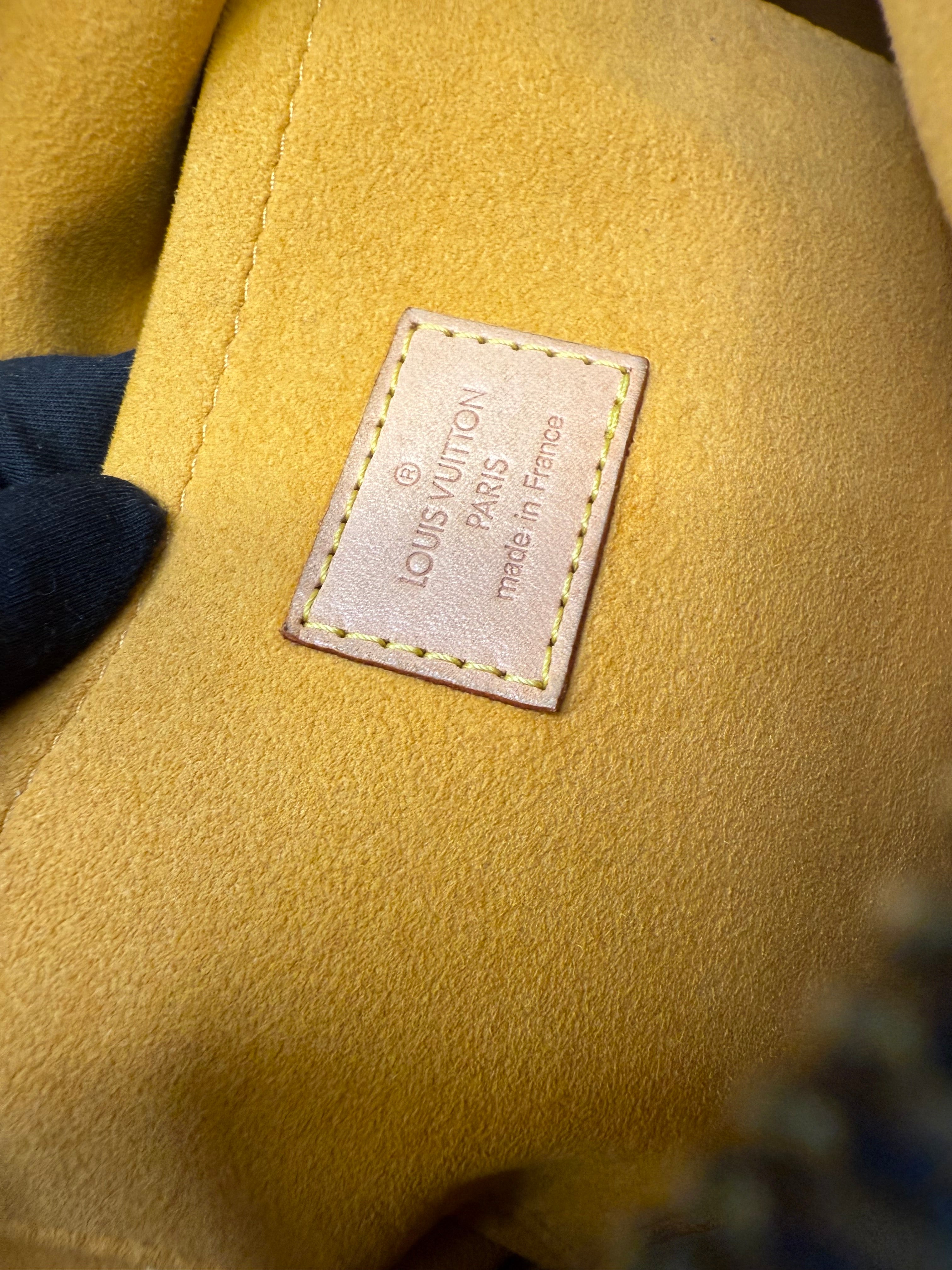 LOUIS VUITTON SPEEDY NOE  DENIM