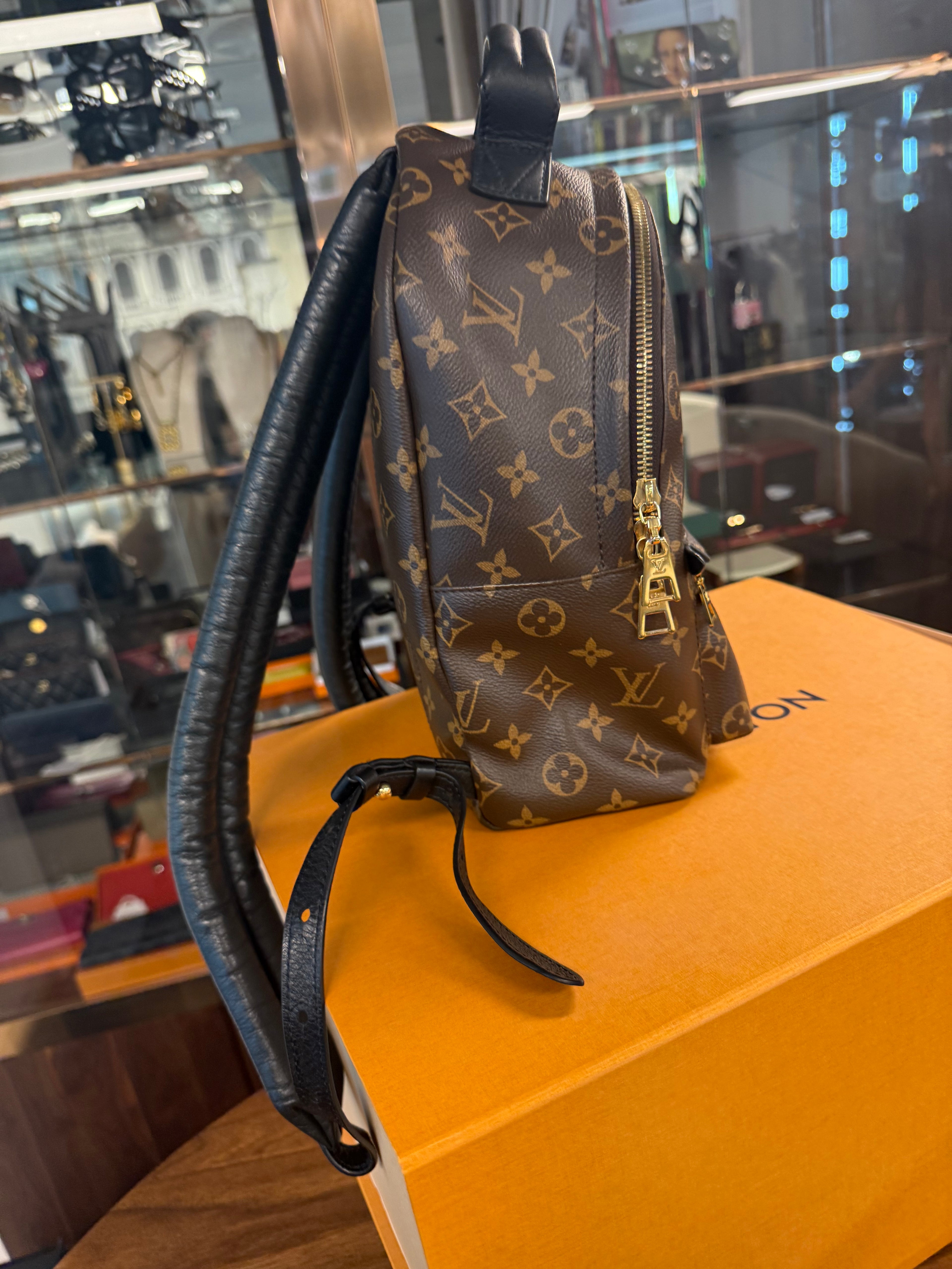 LOUIS VUITTON BACKPACK PM MONOGRAM