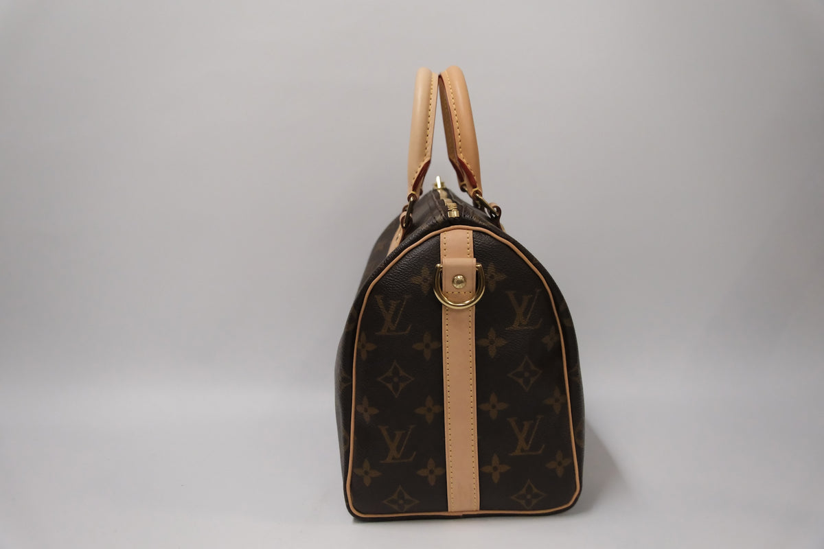 LOUIS VUITTON SPEEDY 25 MONOGRAM