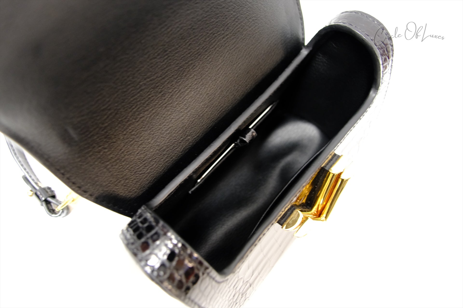 LOUIS VUITTON TWIST MINI BRILLIANT CROCODILE BLACK GHW