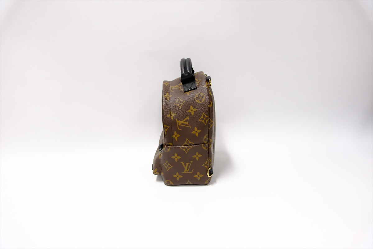 LOUIS VUITTON MINI PALMSPRING BACKPACK MONOGRAM