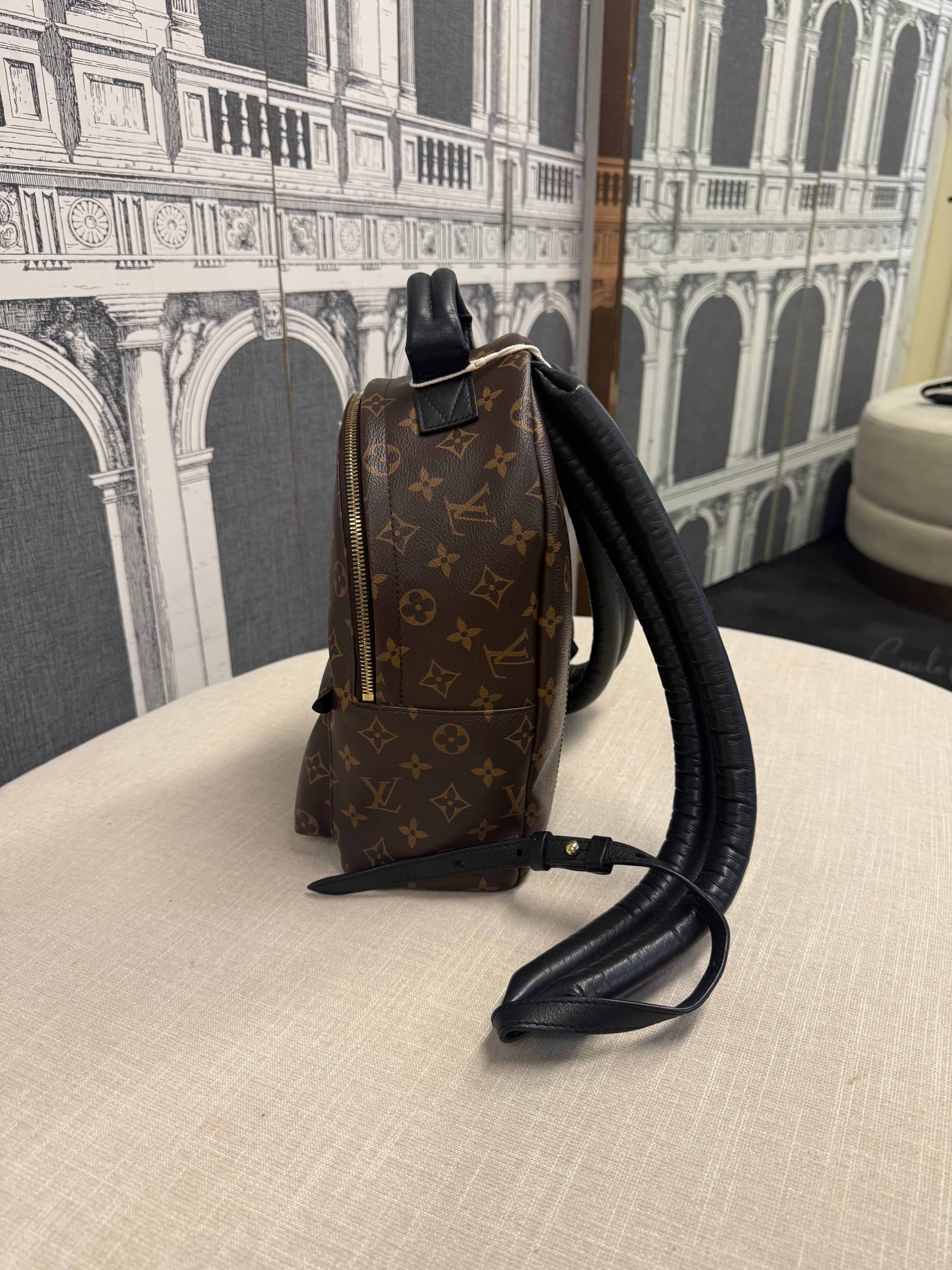 LOUIS VUITTON BACKPACK PM MONOGRAM