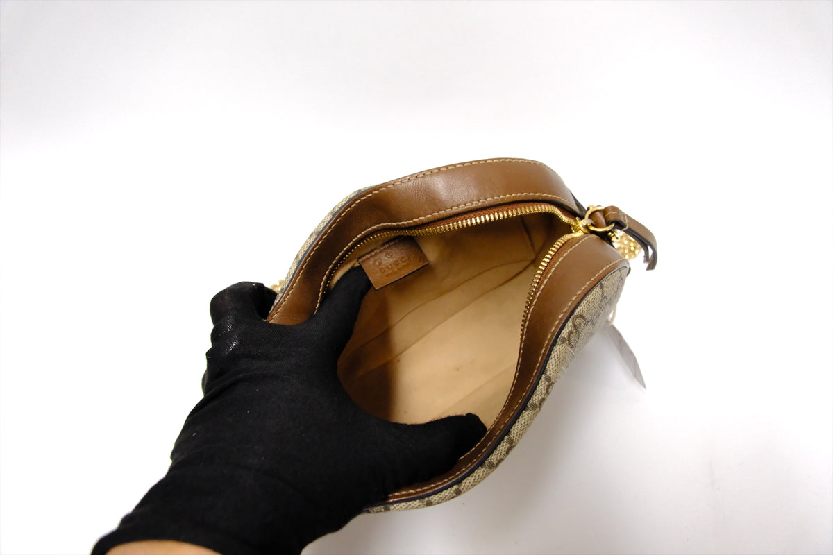 GUCCI CAMERA SUPREME BAG