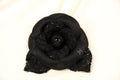 CHANEL CAMELIE BROOCH BLACK