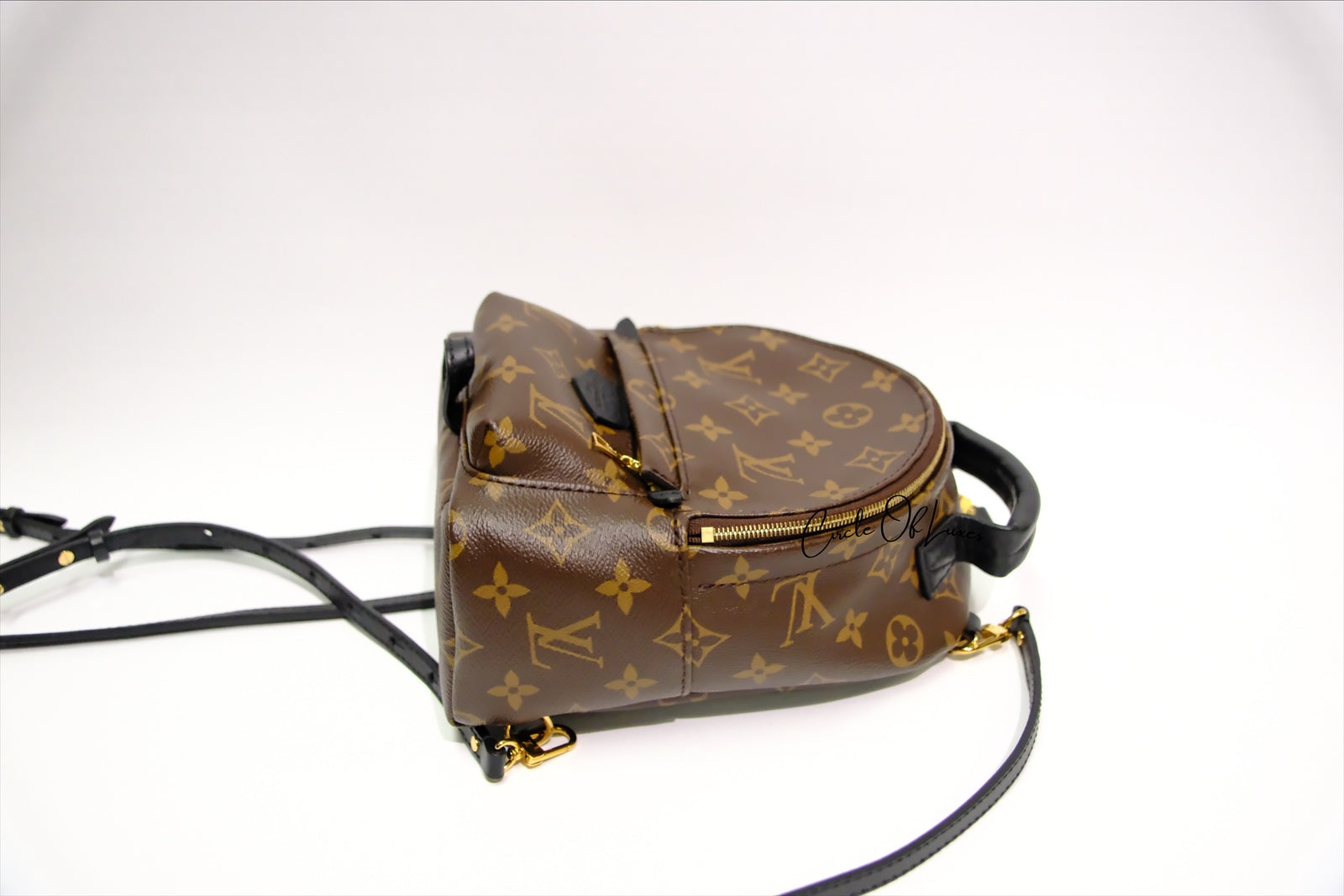 LOUIS VUITTON MINI BACK PACK PALMSPRING MONOGRAM