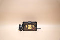 LOUIS VUITTON PETITE MALLE TRUNK MONOGRAM
