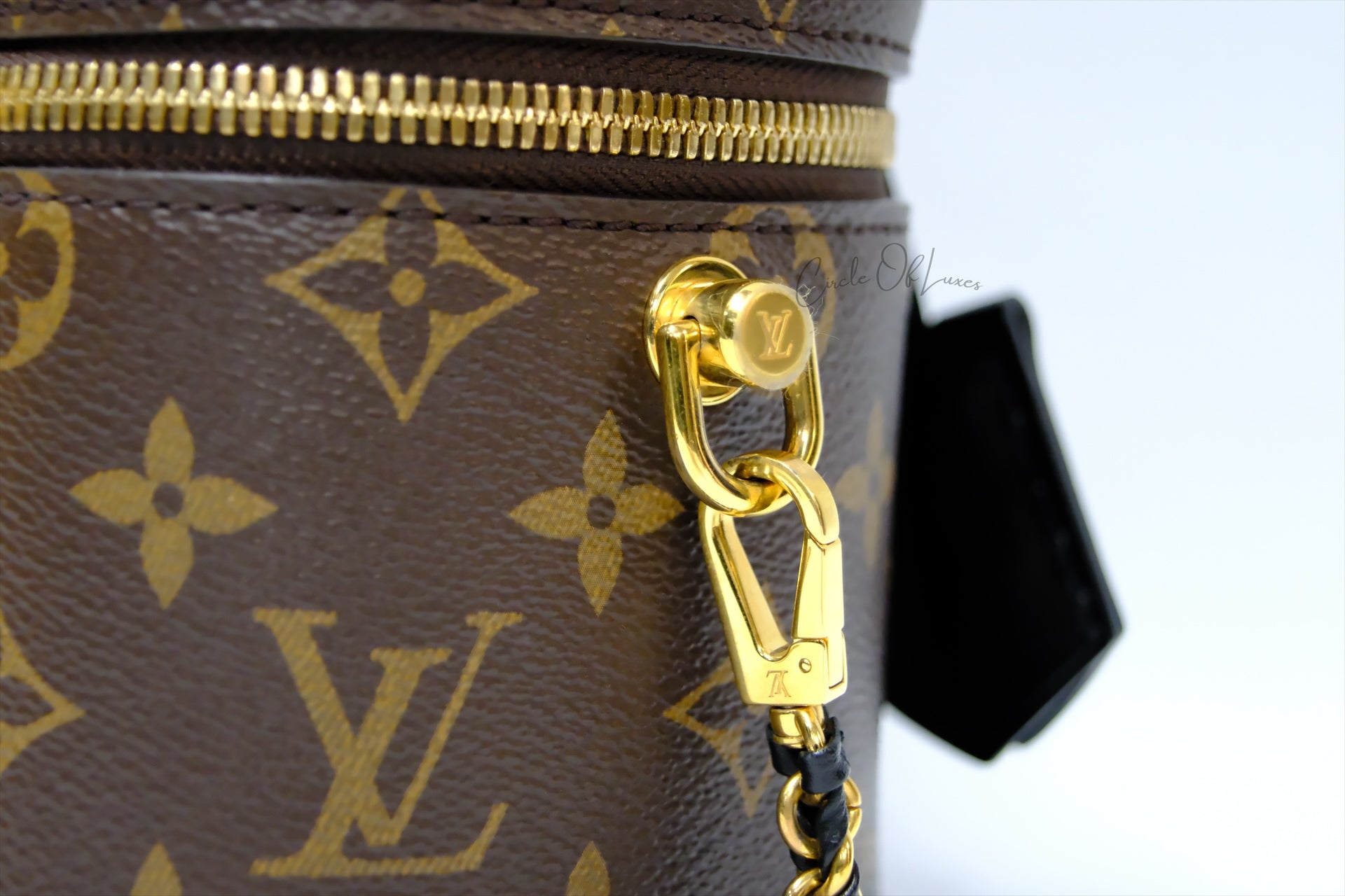 LOUIS VUITTON VANITY PM MONOGRAM
