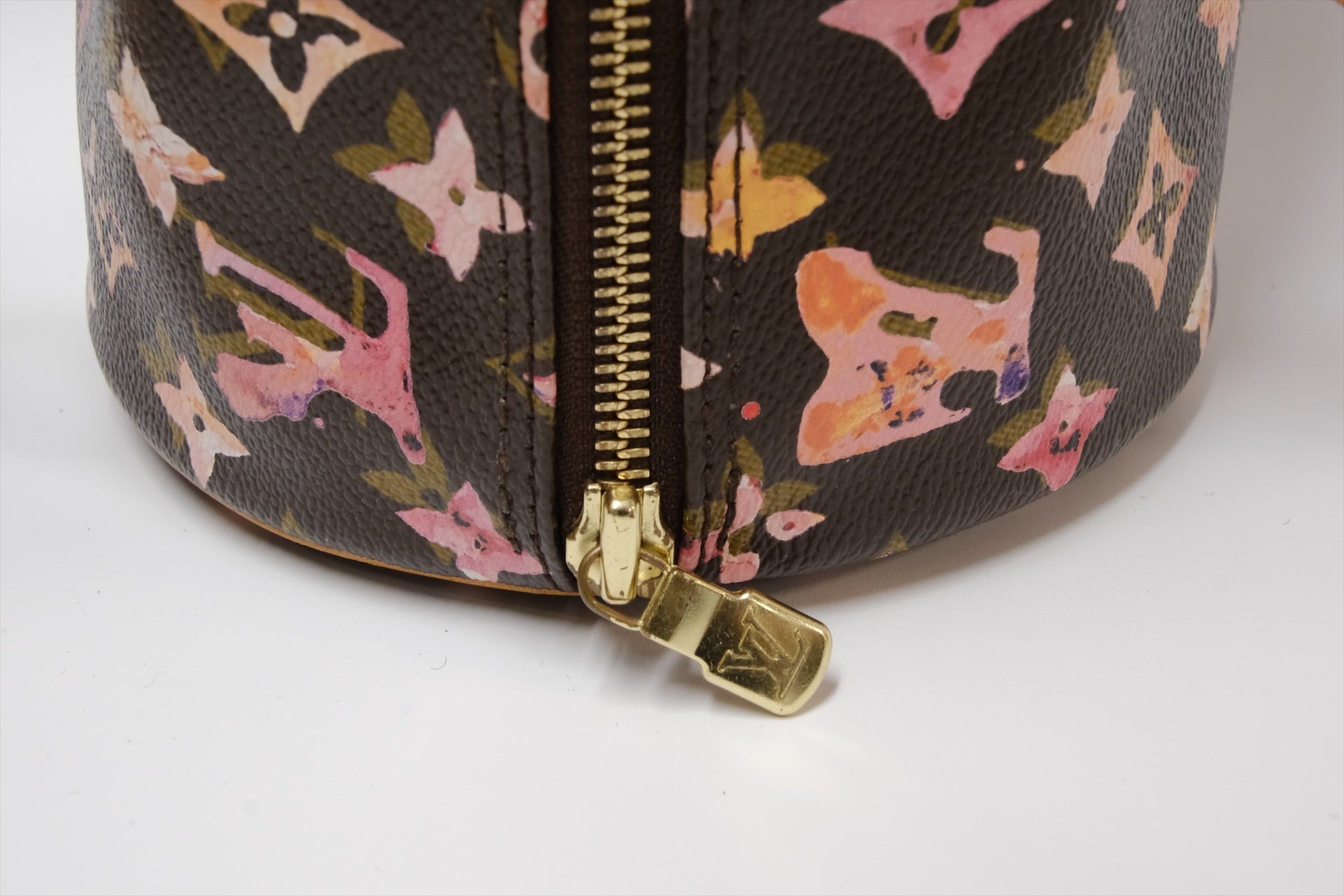 LOUIS VUITTON X RICHARD PRINCE PAPPILLON 30