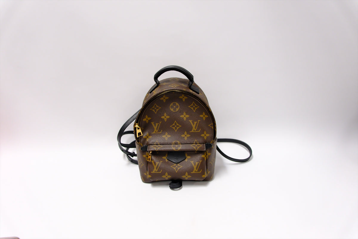LOUIS VUITTON MINI PALMSPRING BACKPACK MONOGRAM